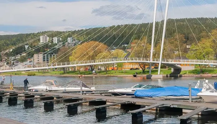 Verisure lokal partner i Drammen
